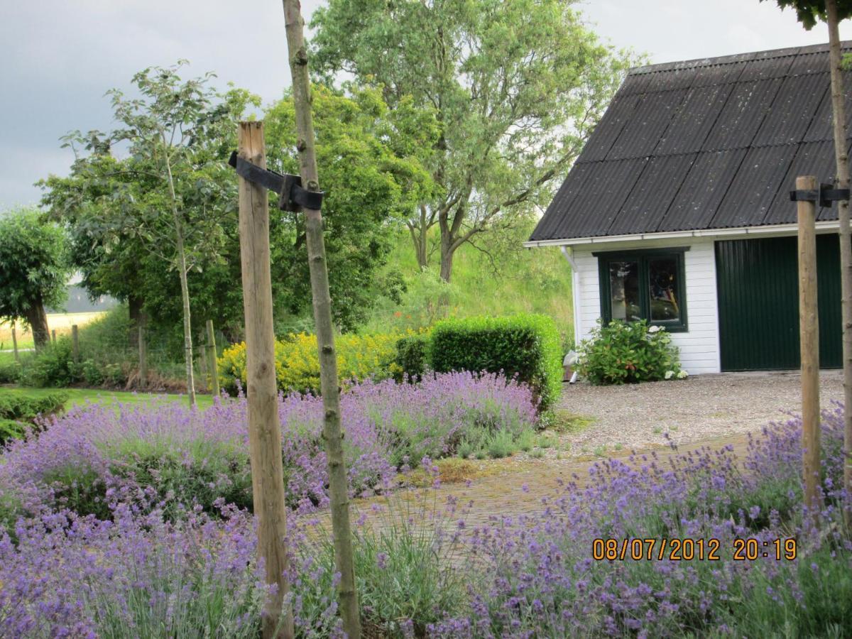B&B De Tol Hulst Dış mekan fotoğraf