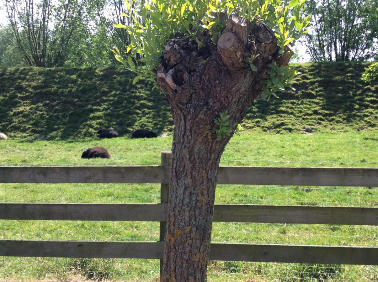 B&B De Tol Hulst Dış mekan fotoğraf