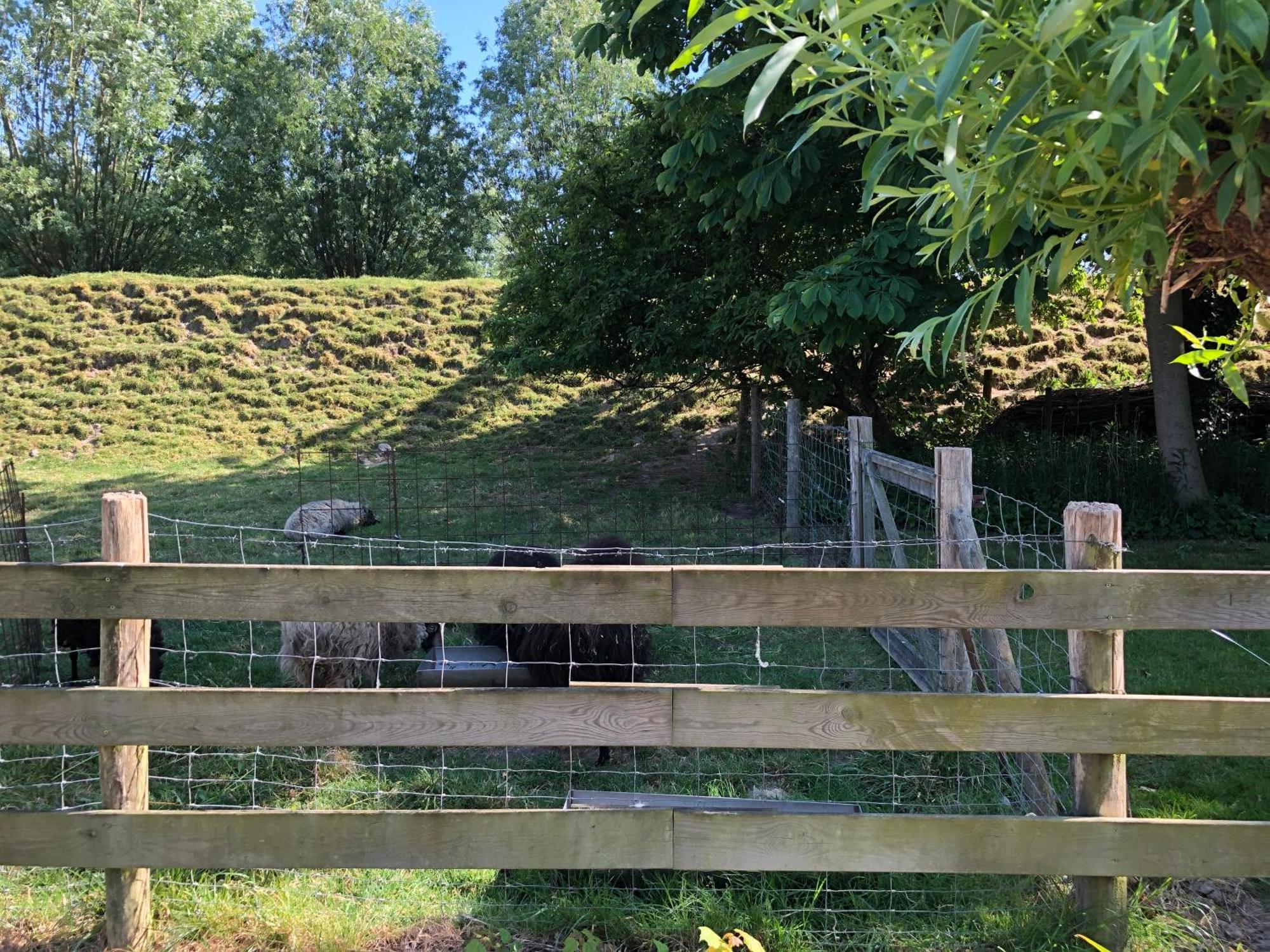 B&B De Tol Hulst Dış mekan fotoğraf